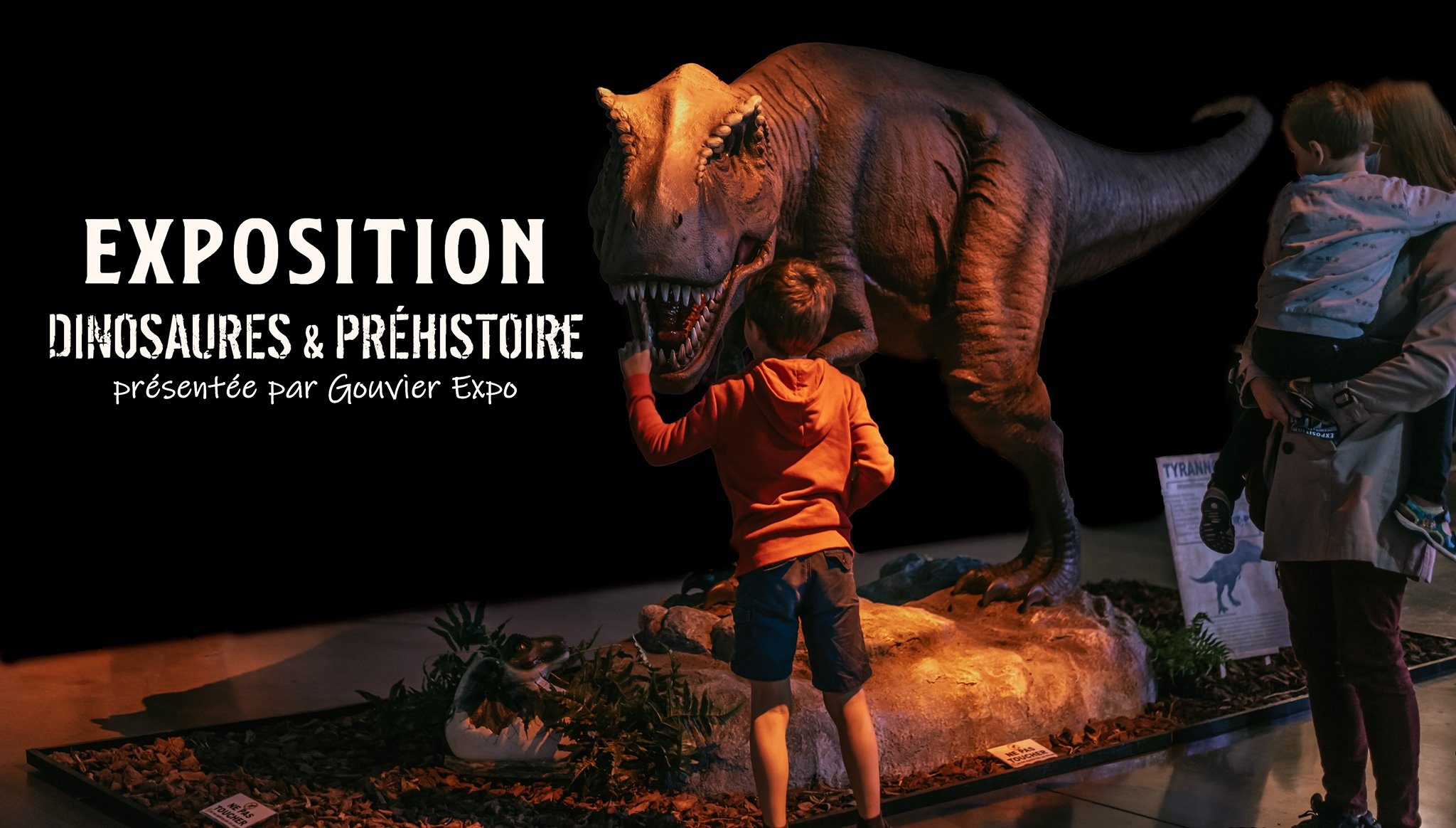 dinosaures, fossiles et préhistoire à nort sur erdre présentés par gouvier expo 7 ecposition dinosaure nor sur erdre