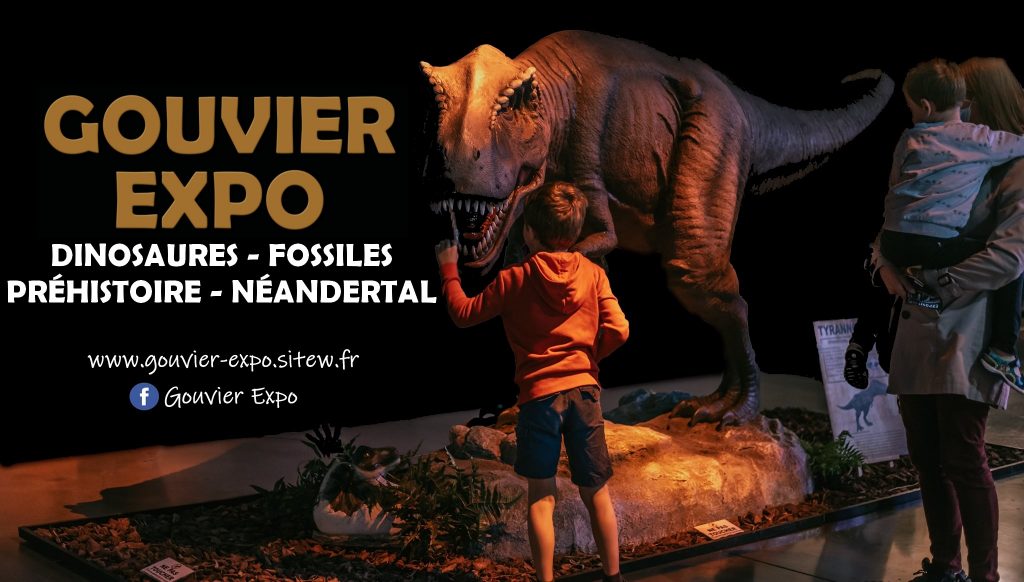 Dinosaures, Fossiles et Préhistoire 9 exposition Dinosaures Fossiles et Prehistoire