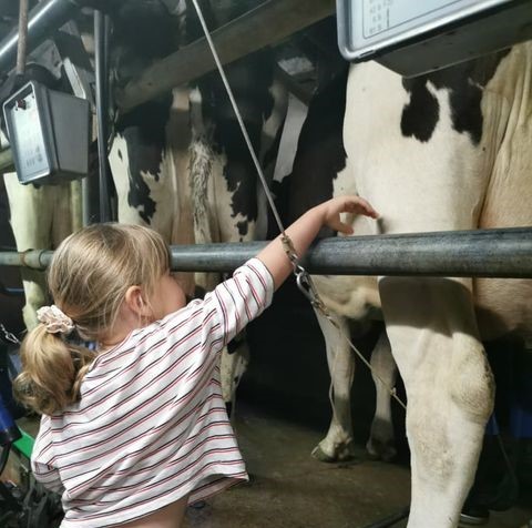 jeudi matin a la ferme 7 traite 2