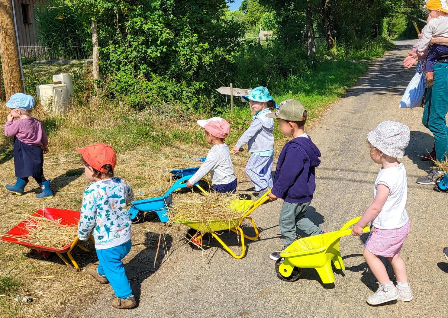 a la rencontre des animaux de la ferme 7 traversee brouettes