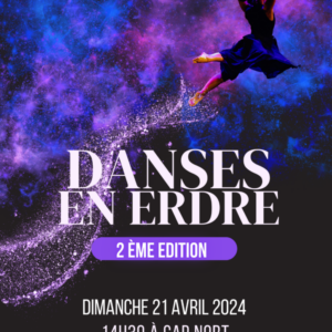 Danses en Erdre 2eme édition 85 Affiche RC 2 724x1024 1