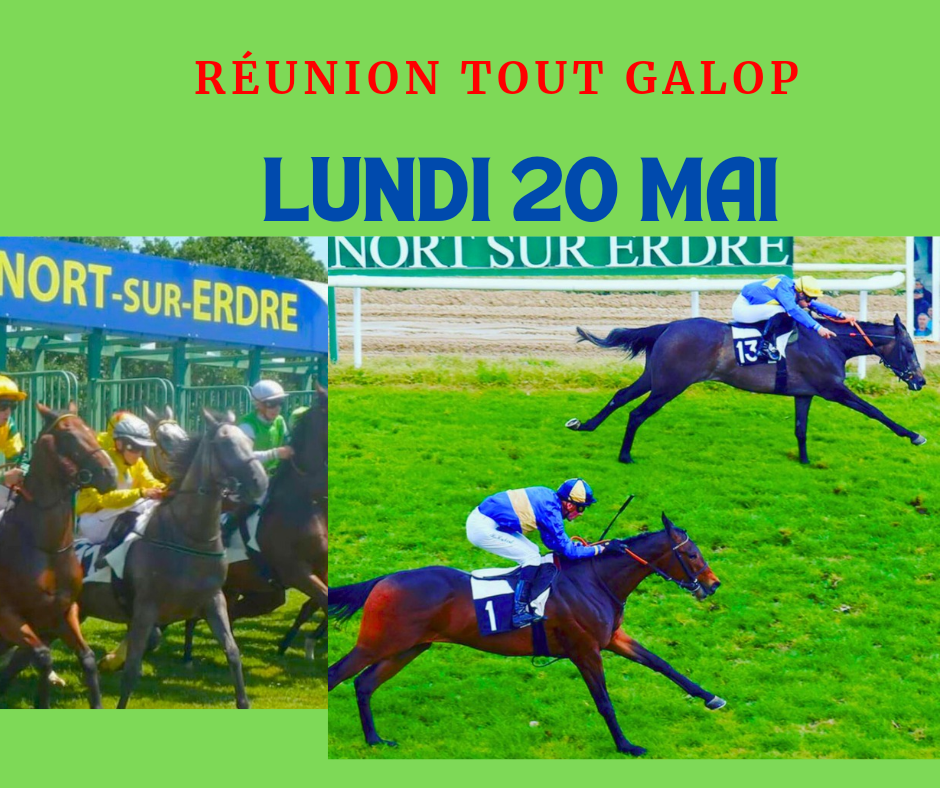 réunion de galopeurs 7 bleu fonce cafe simple montage facebook publication 20240508 174755 0000