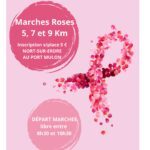 événements 74 marche rose nort sur erdre