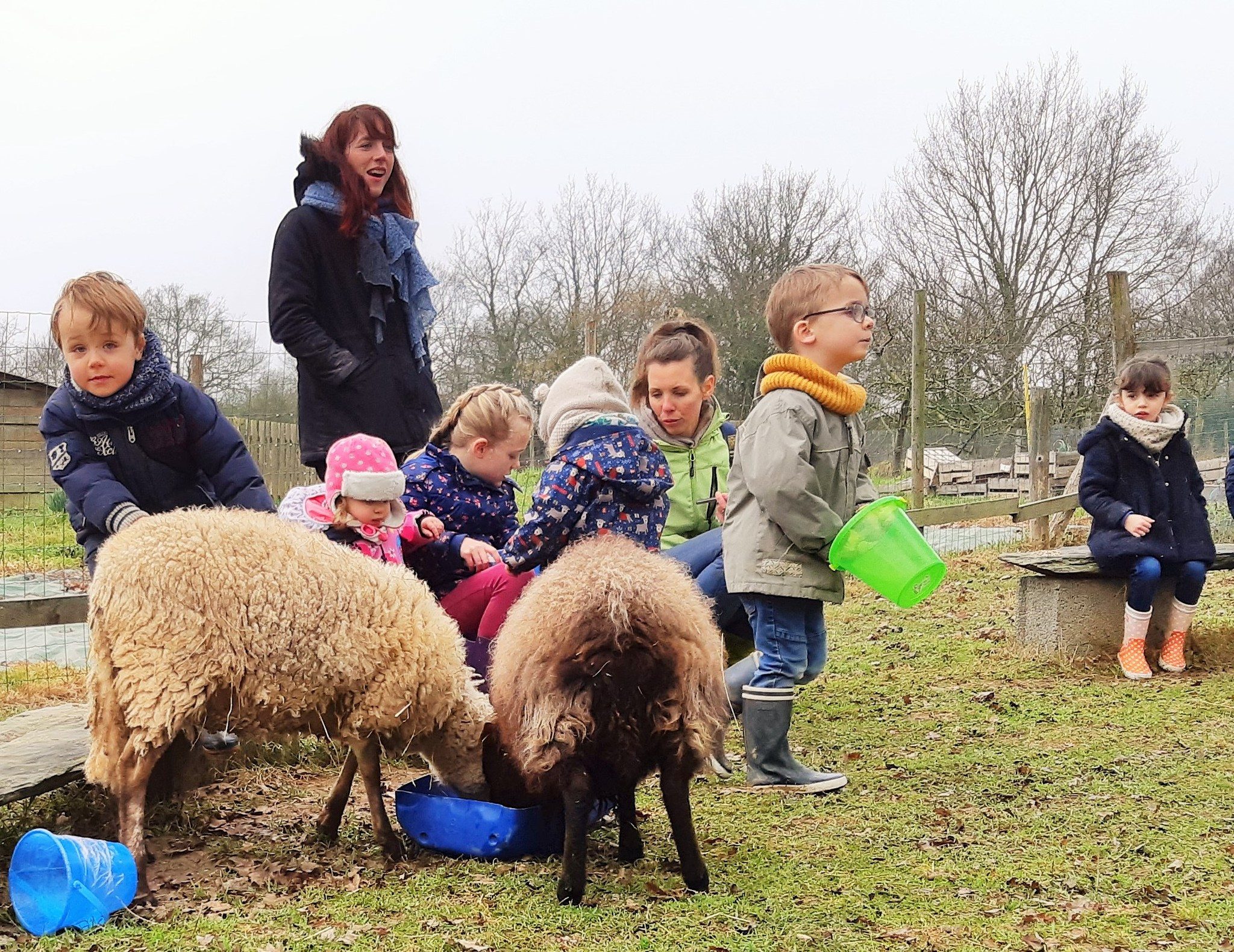 a la rencontre des animaux de la ferme 7 418805634 770590968447336 1385356260476433343 n