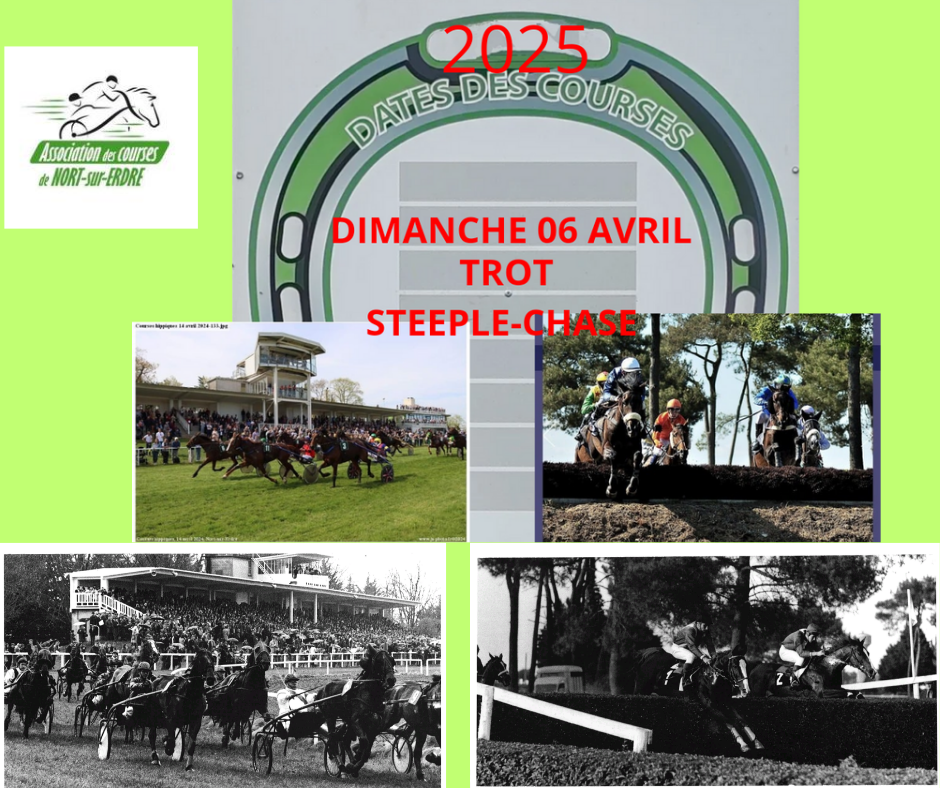 Du trot, des obstacles et des émotions ! 1 20250118 150651 0000