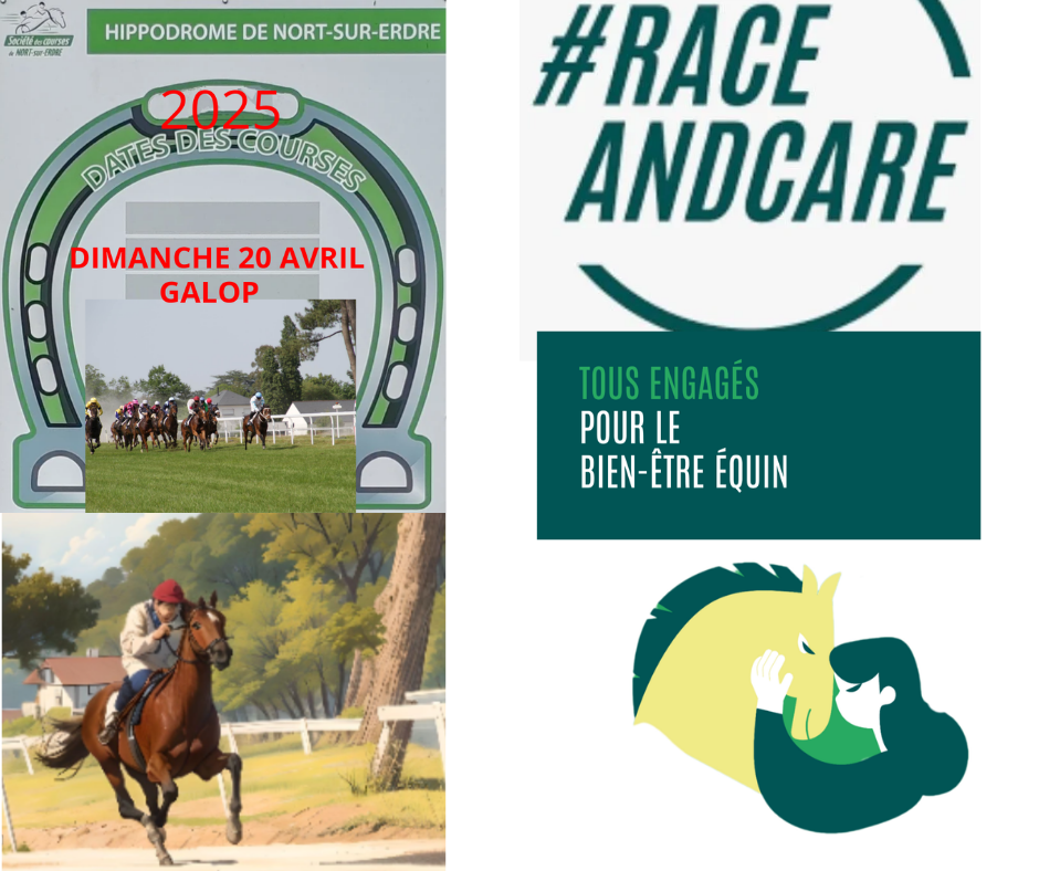 Journée bien être équin RACE AND CARE 1 20250211 093025 0000