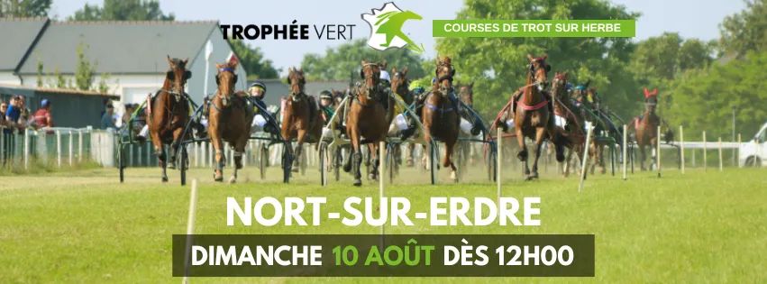 Trophée vert 1 Trophée vert 1 FB IMG 1752054270151 1