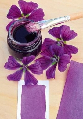 Stage d'encre végétale pour enfants 1 Stage d'encre végétale pour enfants 1 Sans titre 1