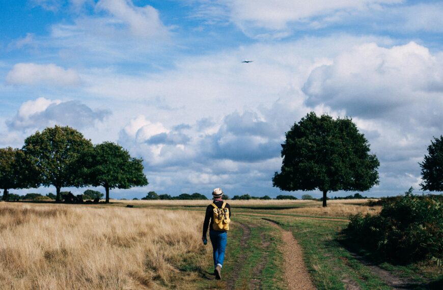 Top des balades et randonnées à faire autour de Nort-sur-Erdre et sur…