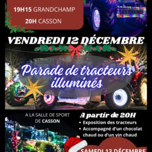 Parade de tracteurs illuminés 11 parade tracteur illumine nort sur erdre