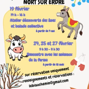 Atelier découverte des ânes et balade collective 3 Atelier découverte des ânes et balade collective 3 627054781 1330991649073929 4813903263490891584 n