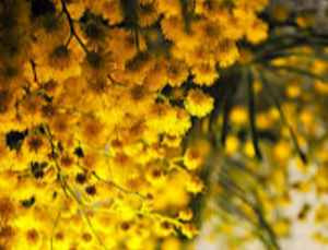 Club Nature 10h-12h 2 Club Nature 10h-12h 2 Club nature