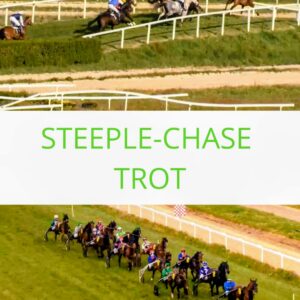 Lundi de Pentecôte Trot et Steeple-chase 2 STEEPLE CHASE TROT 20260419 133236 00002