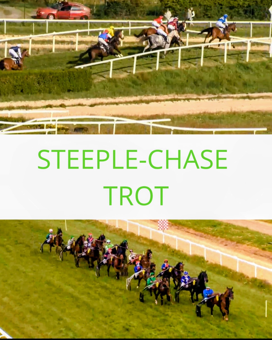 Lundi de Pentecôte Trot et Steeple-chase 1 STEEPLE CHASE TROT 20260419 133236 00002