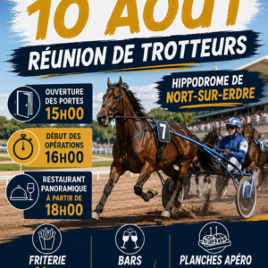 Réunion de trot en semi-nocturne 3 Réunion de trot en semi-nocturne 3 file 00000000751871f493f8d373781f1458