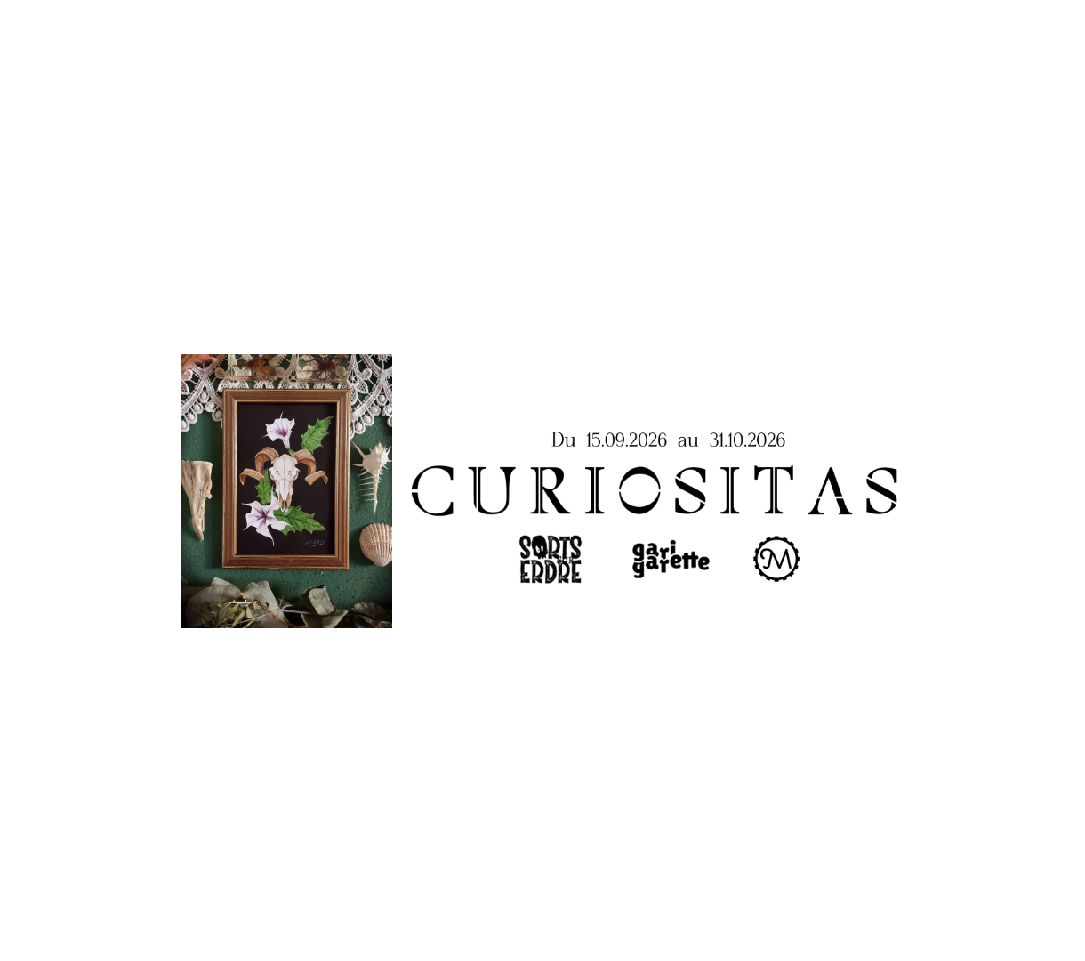 Exposition Curiositas chez Gari Garette 1 Exposition Curiositas chez Gari Garette 1 curiositas