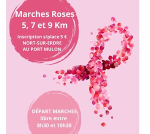 mobile - évènements 112 marche rose nort sur erdre mec thumb 300 268